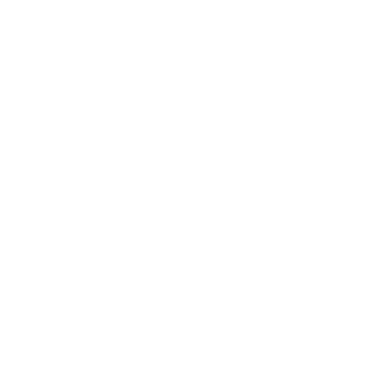 Transmagna